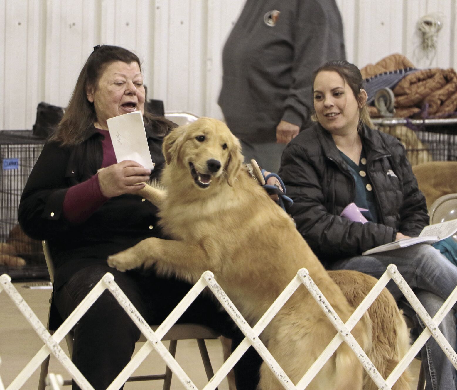 PHOTOS: 2022 AKC Dog Show